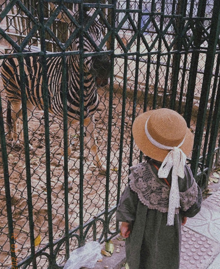 Dành cả ngày vui chơi không biết chán tại Công viên Thủ Lệ - địa điểm vui chơi trẻ em ở Quận Cầu Giấy Hà Nội 