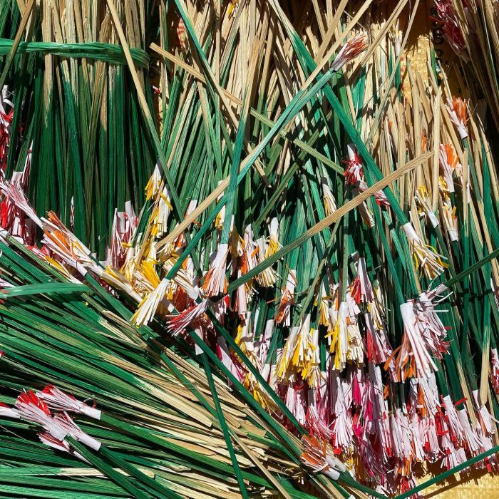 làng hoa giấy Thanh Tiên Huế 