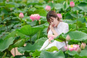 Du lịch Đồng Tháp mùa nước nổi đi đâu? Tổng hợp các điểm dừng thơ mộng tại ‘xứ sen’ khiến bao du khách say lòng