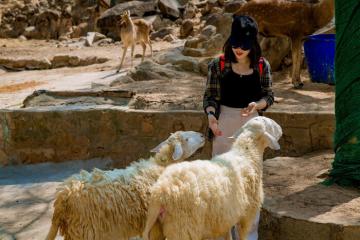 [Cập nhật] Cẩm nang du lịch vi vu phố biển, đừng bỏ lỡ trải nghiệm ‘tung hoành’ các khu du lịch sinh thái ở Vũng Tàu thành phố Hồ Chí Minh nổi tiếng