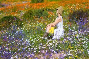 Ngỡ ngàng Nam Phi, đẹp diệu kỳ vào mùa hoa tháng 9