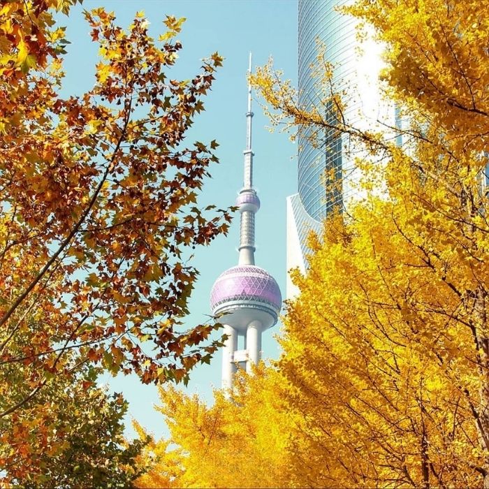 Cẩm nang du lịch Thượng Hải mùa đẹp nhất