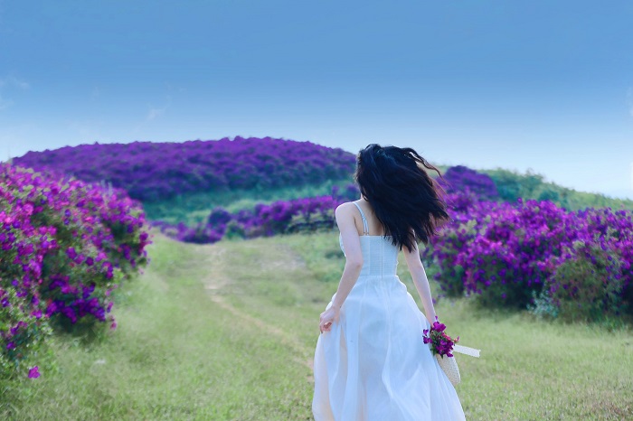 Trải nghiệm du lịch Sơn La mùa hoa mua