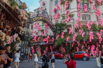 Quán cà phê gấu bông tại HCM – Điểm check-in cực dễ thương!