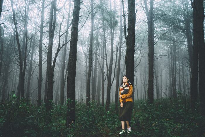 check-in với khung cảnh khu rừng vào buổi sáng ở núi Hàm Rồng Gia Lai