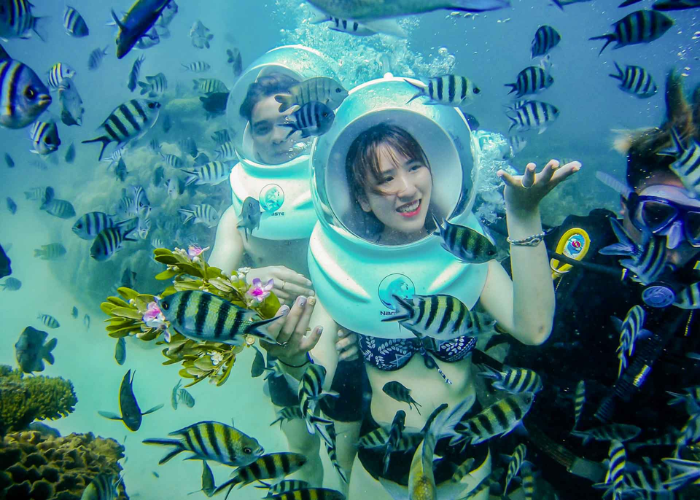 Du khách tự tay cho cá ăn tại công viên san hô phú quốc