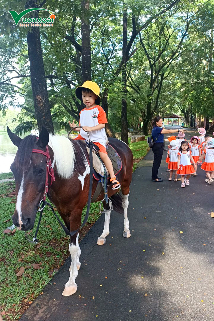 Khu du lịch sinh thái nổi tiếng ở Đồng Nai - Khu du lịch sinh thái Vườn Xoài