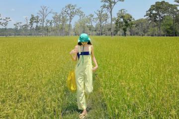 Mê mẩn trải nghiệm vãn cảnh, check-in tại 2 cánh đồng lúa đẹp ở Đồng Nai