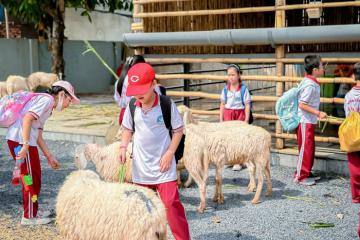 5 khu vui chơi trẻ em ở TP Thủ Đức: Điểm vui chơi, giải trí sôi động bố mẹ và bé không nên bỏ lỡ dịp cuối tuần