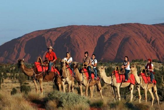 Chần chừ gì nữa, cùng hòa mình vào 7 hoạt động hấp dẫn nhất Ayers Rock, Úc!