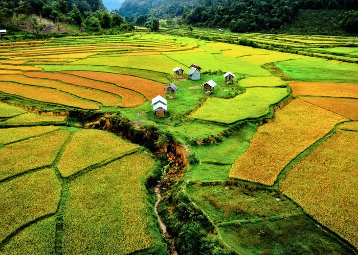 Kho lúa của người Xơ Đăng là biểu tượng cho sự sung túc, no đủ