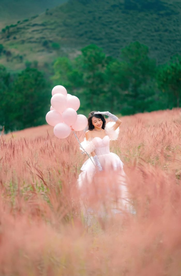 Địa chỉ các đồi cỏ hồng Đà Lạt 