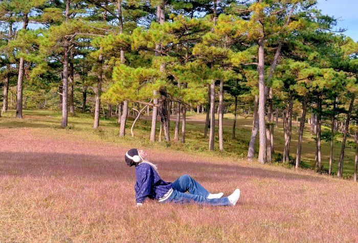 Địa chỉ các đồi cỏ hồng Đà Lạt 