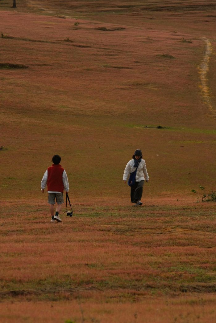 Địa chỉ các đồi cỏ hồng Đà Lạt 