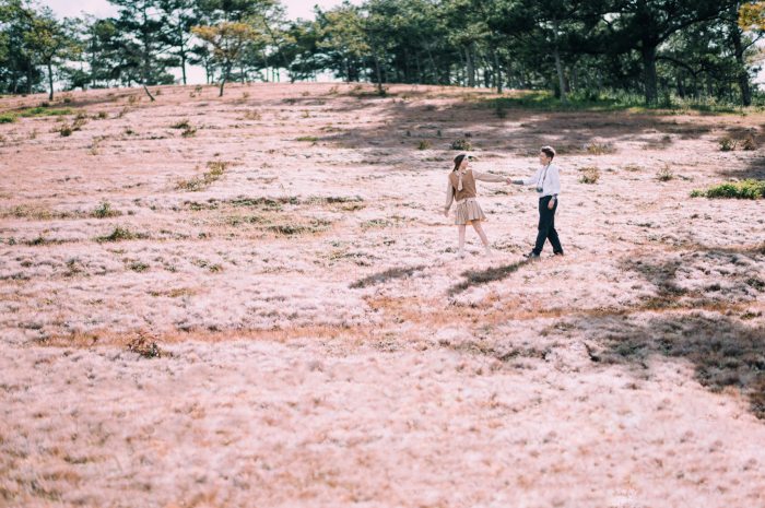 Địa chỉ các đồi cỏ hồng Đà Lạt 