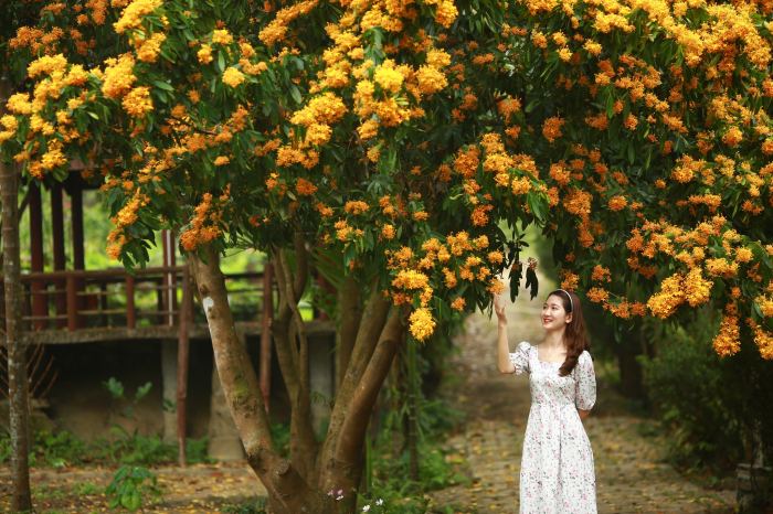 khu du lịch sinh thái hấp dẫn ở Đà Nẵng