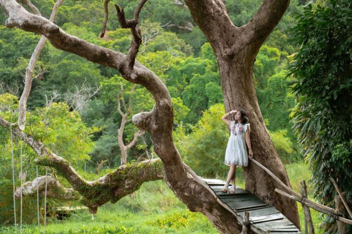 khu du lịch sinh thái hấp dẫn ở Đà Nẵng