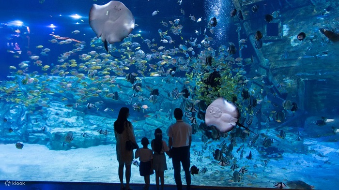 Thủy cung là khu vui chơi trẻ em ở Lotte Mall Tây Hồ cực thú vị