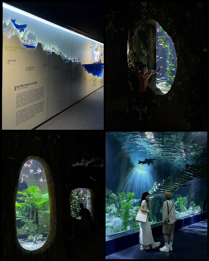 Một thế giới đại dương đa dạng, bí ẩn được tái hiện tại khu vui chơi trẻ em ở Lotte Mall Tây Hồ