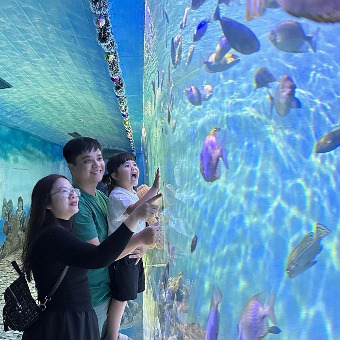 Các bé thích mê khi tới thủy cung - khu vui chơi trẻ em ở Lotte Mall Tây Hồ