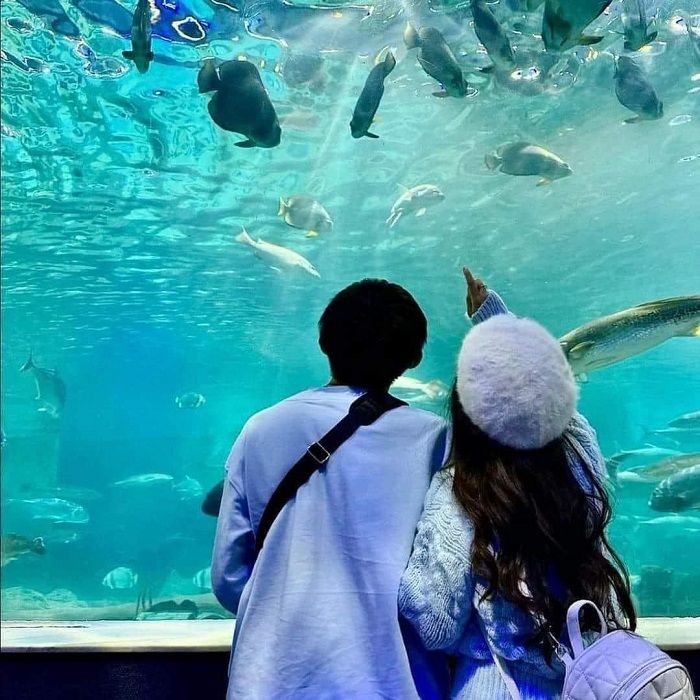 Tha hồ sống ảo tại khu vui chơi trẻ em ở Lotte Mall Tây Hồ