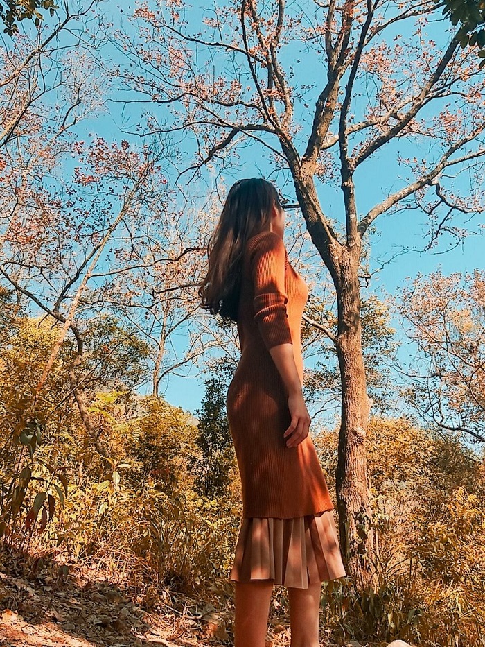 Kinh nghiệm đi chơi rừng phong Chí Linh Hải Dương cho khung cảnh đẹp chẳng kém Hàn Quốc