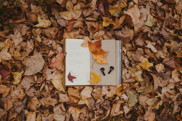 Kinh nghiệm đi chơi rừng phong Chí Linh Hải Dương bạn có thể tới rừng phong này bằng bất kỳ phương tiện nào