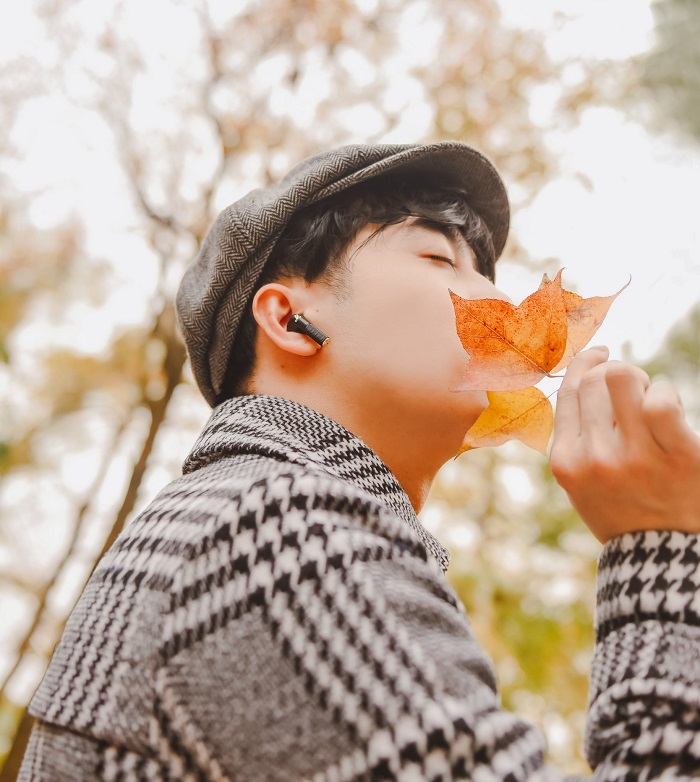 Kinh nghiệm đi chơi rừng phong Chí Linh Hải Dương là bạn nên đi vào tháng 11 tới tháng 1 năm sau