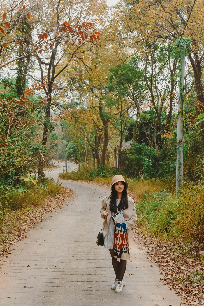 Kinh nghiệm đi chơi rừng phong Chí Linh Hải Dương là góc nào ở đây lên ảnh cũng đẹp