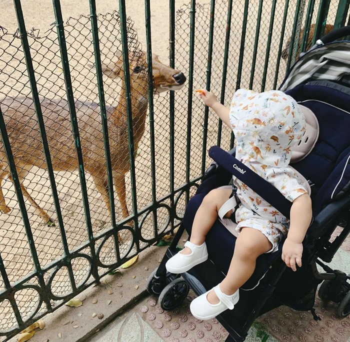 Các bé chắc chắn sẽ thích mê với những con thú ngộ nghĩnh tại địa điểm vui chơi cho trẻ em ở Quận Ba Đình Hà Nội