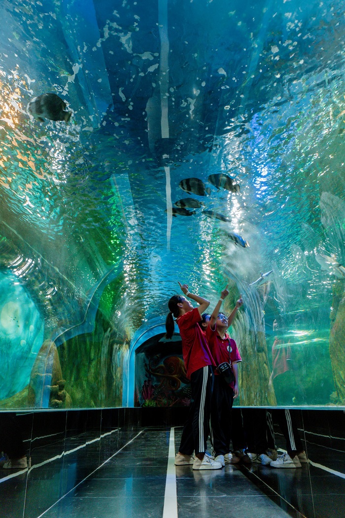 Tha hồ vui chơi, khám phá khi tới điểm vui chơi gần Bảo tàng Lịch sử Quân sự Việt Nam