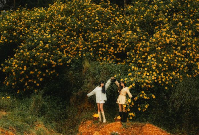  du lịch Đà Lạt tháng 11 