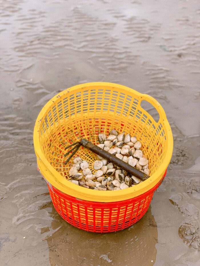 Kinh nghiệm du lịch biển Tân Thành Tiền Giang - Trải nghiệm đào nghêu