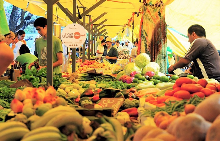 Một trong những kinh nghiệm du lịch Chile tự túc giá rẻ là khám phá các ferias - chợ nông sản địa phương