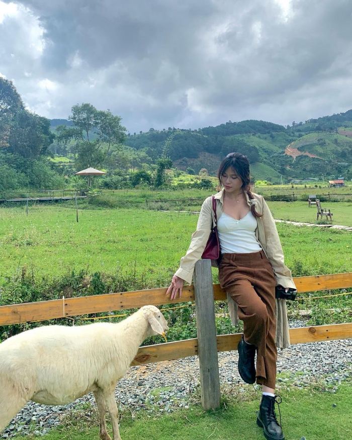 Kinh nghiệm du lịch Di Linh Lâm Đồng 