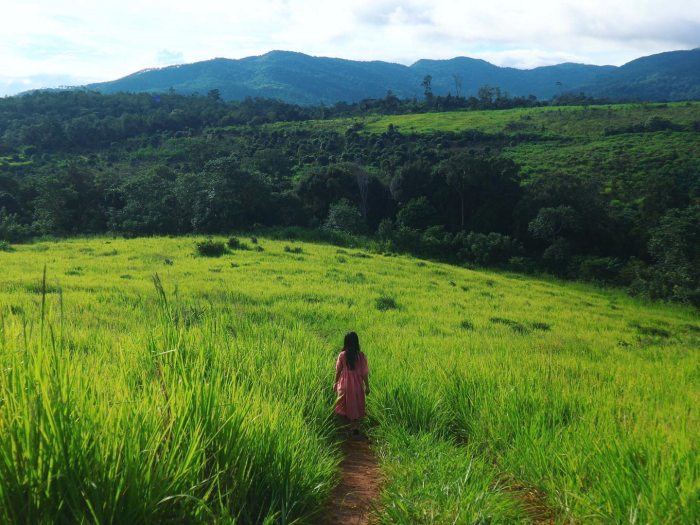 Kinh nghiệm du lịch đồi cỏ Măng Đen 