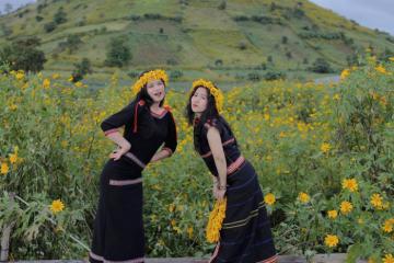 Kinh nghiệm đi lễ hội dã quỳ Chư Đăng Ya đón sắc vàng đại ngàn 