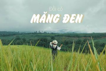 [Cập nhật] Cẩm nang kinh nghiệm du lịch đồi cỏ Măng Đen Quảng Ngãi - 'Thảo nguyên' xanh rì của đại ngàn 