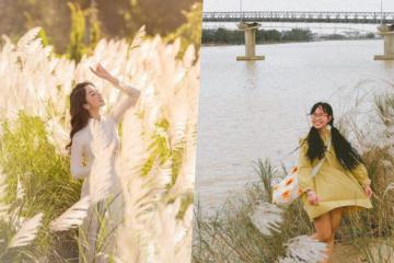 [Cập nhật] Cẩm nang du lịch có một mùa cỏ lau bên sông Thu Bồn Đà Nẵng, đẹp như mộng nơi xứ Quảng