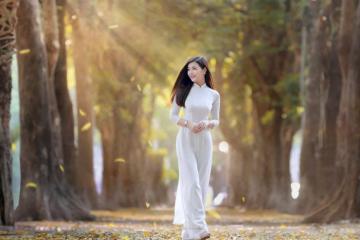  Những con đường mùa đông Hà Nội đẹp nhất khiến ai cũng xuýt xoa