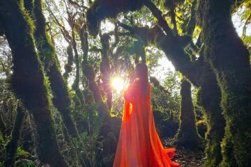 [Cập nhật] Kinh nghiệm leo núi Tà Xùa Yên Bái Lào Cai: Chinh phục sống lưng khủng long và săn mây