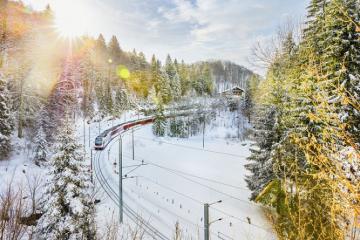 Băng qua cánh rừng phủ đầy tuyết trên những chuyến tàu mùa đông đẹp nhất Thụy Sĩ