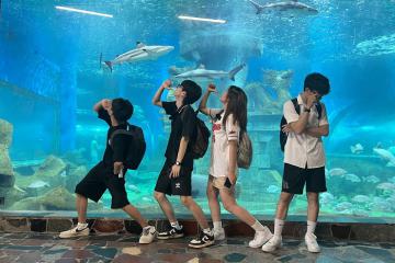 Điểm vui chơi gần Bảo tàng Lịch sử Quân sự Việt Nam