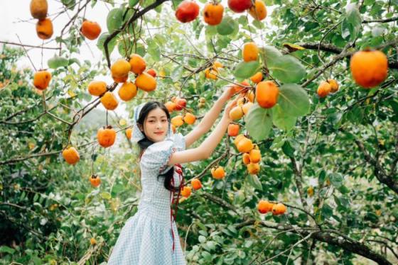 Kinh nghiệm du lịch Đà Lạt tháng 11 săn mây, ngắm dã quỳ