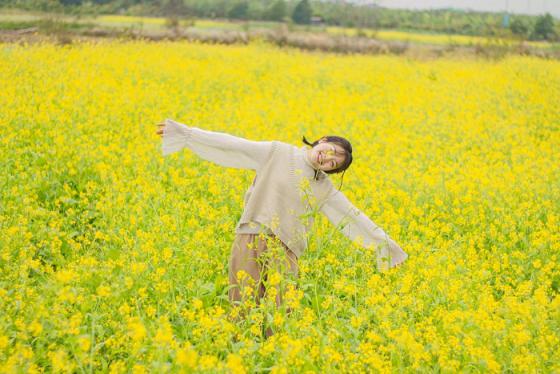 Địa chỉ cánh đồng hoa cải ở Hà Nội đang nở vàng rực cả Thủ đô