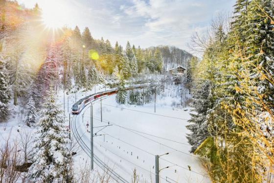 Băng qua cánh rừng phủ đầy tuyết trên những chuyến tàu mùa đông đẹp nhất Thụy Sĩ