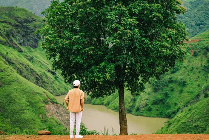 Cây táo mèo cô đơn nằm trơ trọi tạo điểm nhấn khi tới Đỉnh Gió Tà Xùa