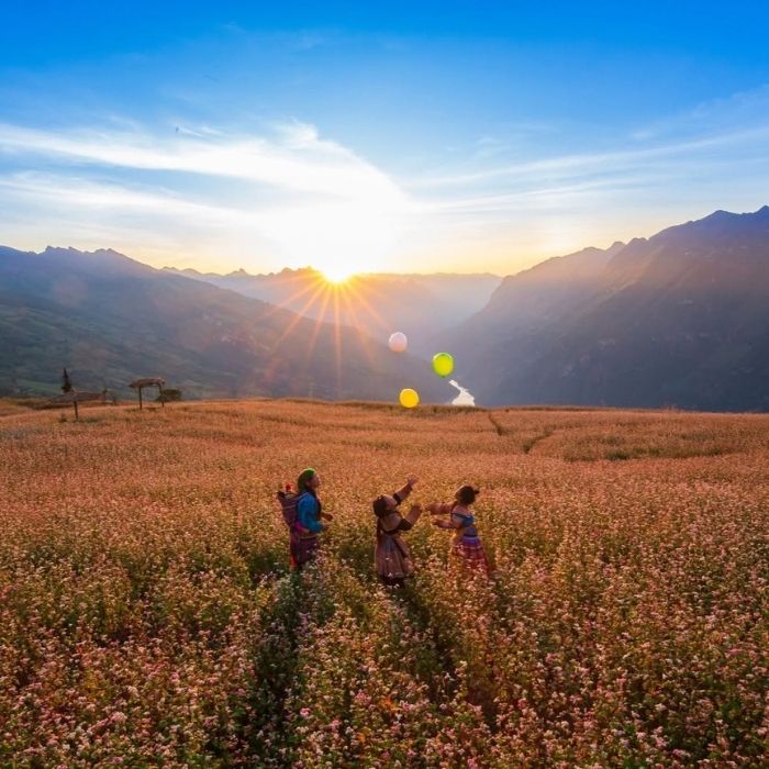Kinh nghiệm chụp ảnh tại Lễ hội hoa Tam giác mạch Hà Giang