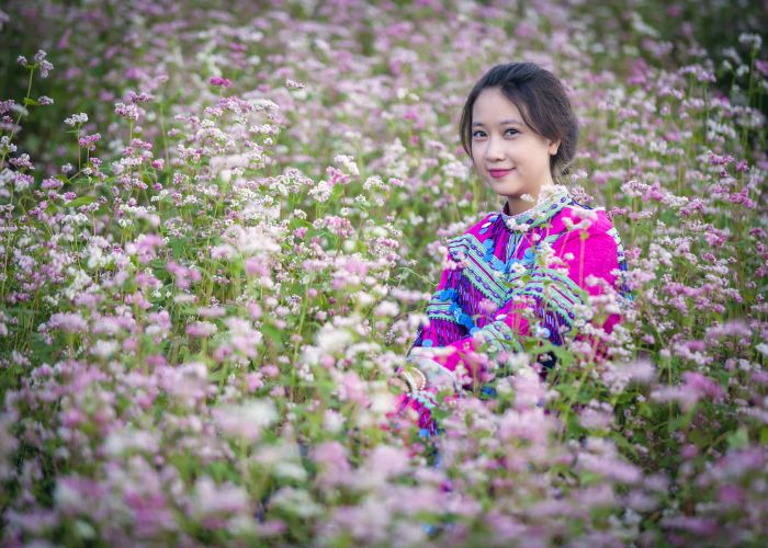Kinh nghiệm tham gia Lễ hội hoa Tam giác mạch Hà Giang 2025