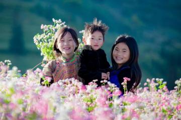 Check-in Lễ hội hoa Tam giác mạch Hà Giang Tuyên Quang - Điểm hẹn mùa thu rực rỡ nơi cực Bắc